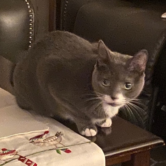 Meet your Posher, Jean - Picture 2 of 11